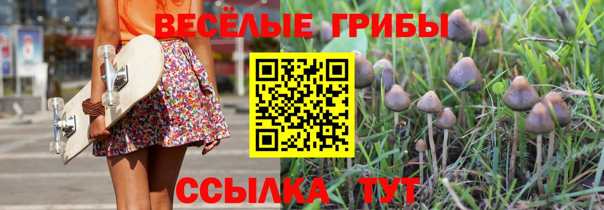 Галлюциногенные грибы мухоморы  Вход с VPN  Лабинск  Галлюциногенные грибы Cubensis 
